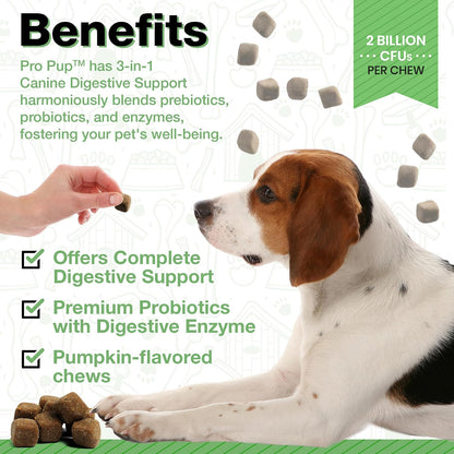 Pawlife Probiotics for Dogs - Pumpkin Flavour Soft Chews (240 Count)