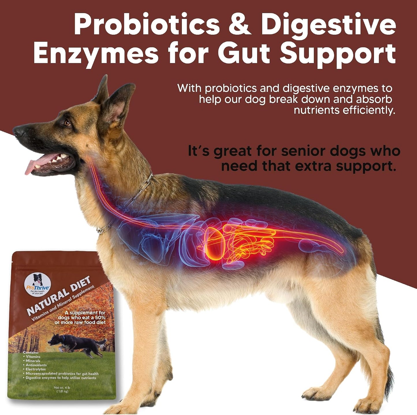 ProThrive Canine Natural Diet Supplement, Dog Vitamins and Supplements Powder, Supports Digestion & Balanced Canine Nutrition, Powder Supplement for All Breeds, 1.8 kg Bag - görsel 4