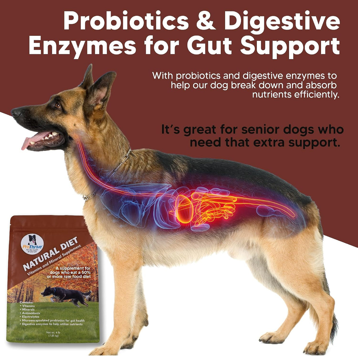 ProThrive Canine Natural Diet Supplement, Dog Vitamins and Supplements Powder, Supports Digestion & Balanced Canine Nutrition, Powder Supplement for All Breeds, 1.8 kg Bag - görsel 4