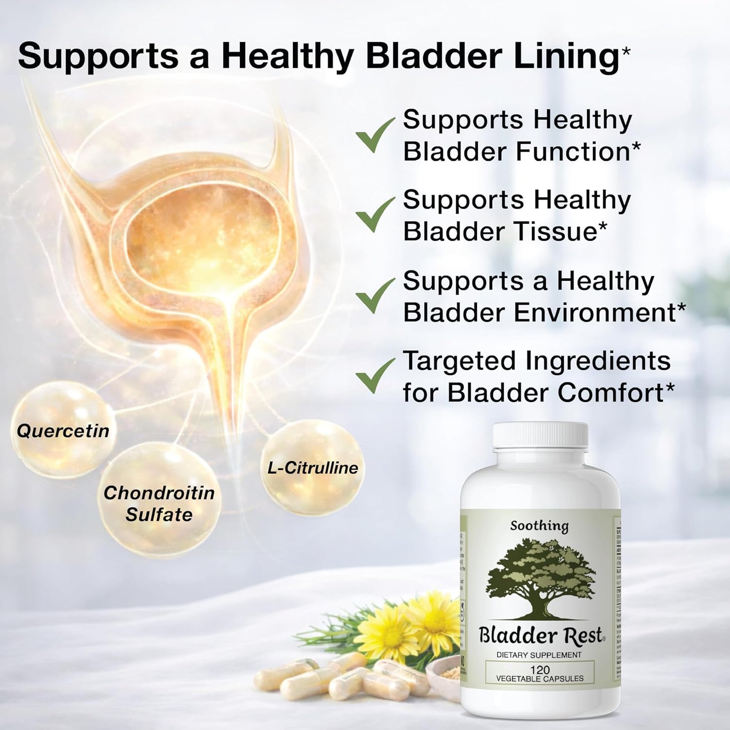 Bladder Health and Pelvic Comfort Support - 120 Capsules - görsel 3