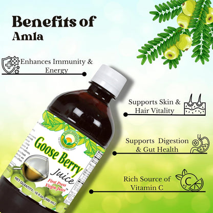 Basic Ayurveda Amla (Gooseberry) Juice | 480ml | Natural Vitamin C for Immune Function, Skin Radiance & Hair Health | Ayurvedic Daily Wellness Tonic | No Added Sugar