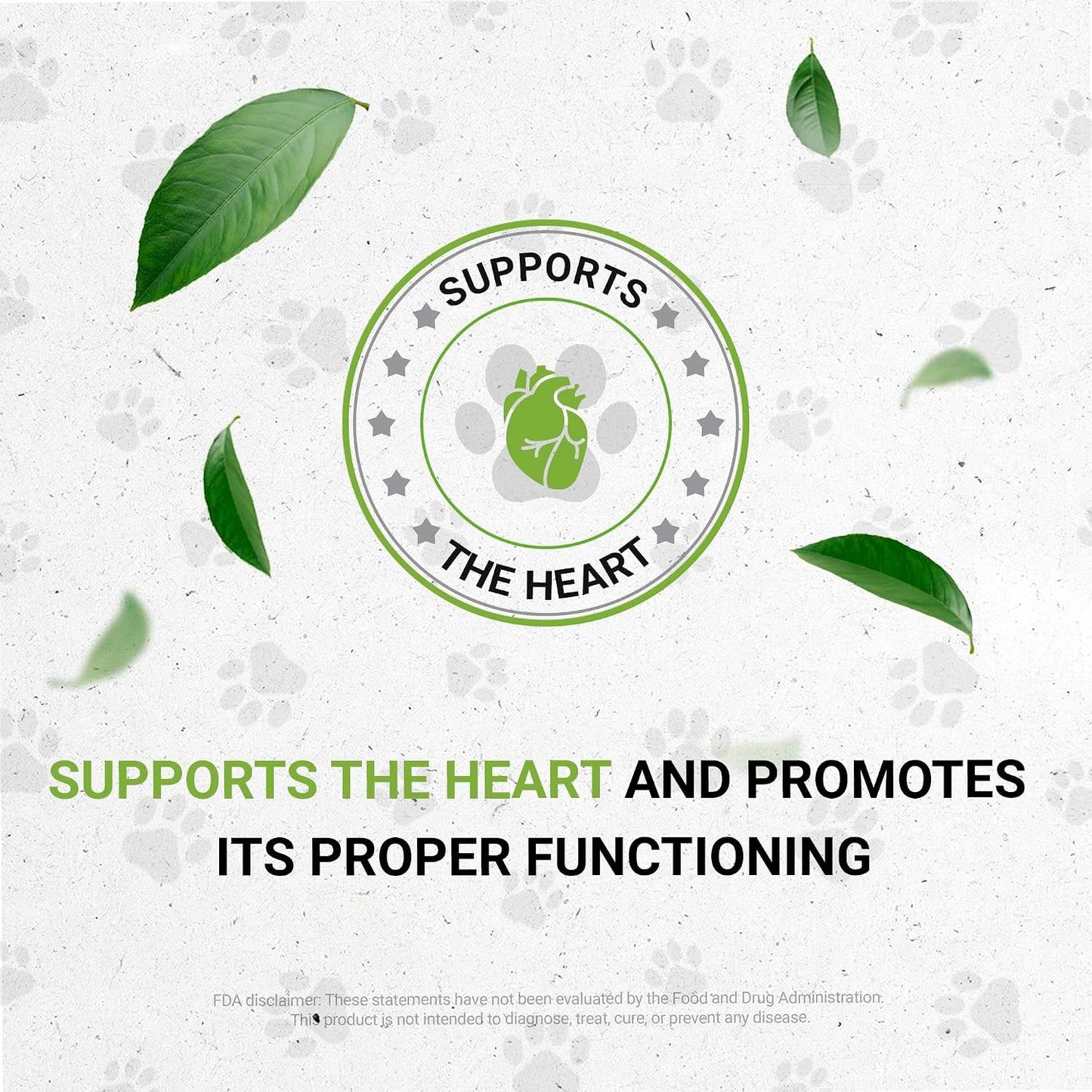 Wolf's Blood Pressure - Natural Herbal Supplement for Dogs (60 ml) - görsel 6