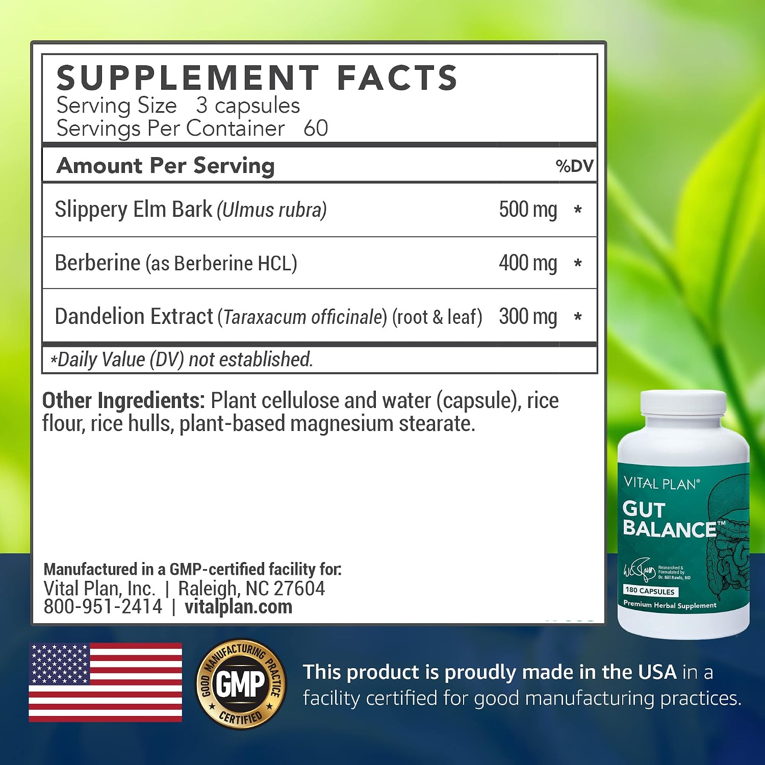 Vital Plan Gut Balance - Advanced Digestive Health with Slippery Elm, Berberine & Dandelion (180 Capsules) - görsel 2