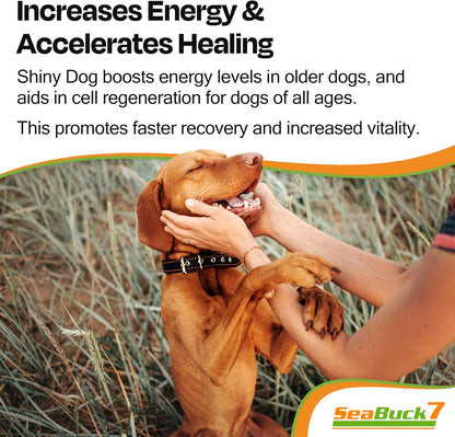 SeaBuck 7 Shiny Dog Sea Buckthorn Oil for Dogs, 60ml – Image 4
