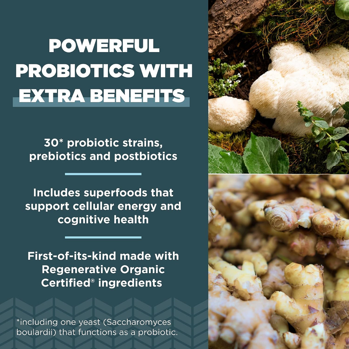Ancient Nutrition Regenerative Organic Certified Probiotics, Extra Strength, 50 Billion CFU, 60 Capsules - görsel 3
