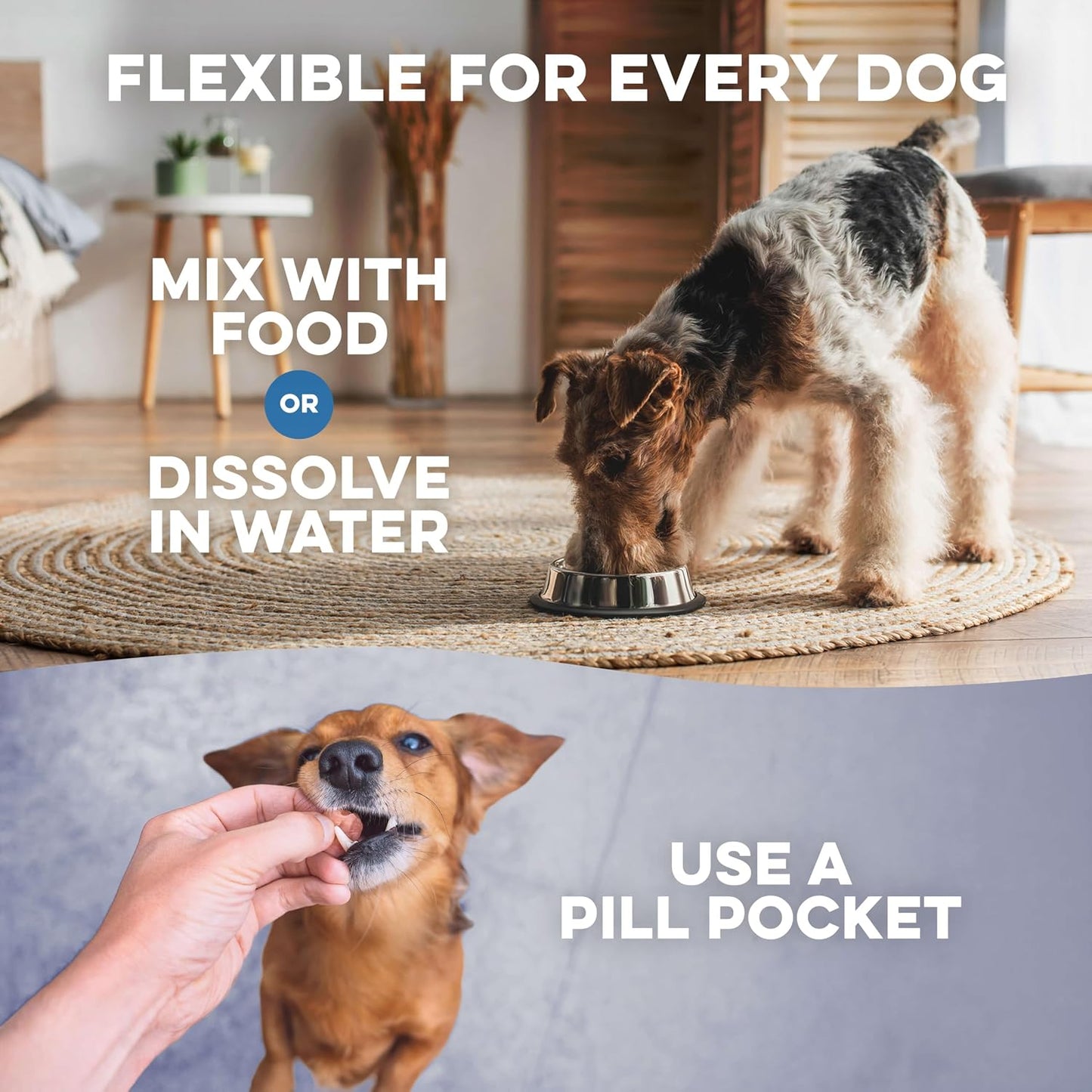 BestLife4Pets Dog UTI & Kidney Health Formula – Natural Urinary Support – 400 Tiny Pills - görsel 6