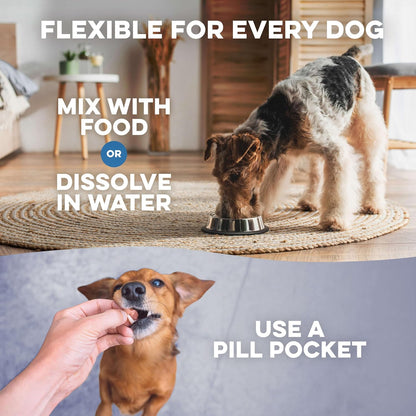 BestLife4Pets Dog UTI & Kidney Health Formula – Natural Urinary Support – 400 Tiny Pills