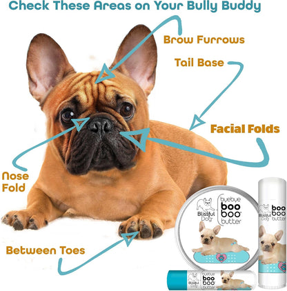 The Blissful Dog 0.5 oz Tube French Bulldog Booboo Butter