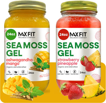 MAX FIT Organic Wildcrafted Sea Moss Gel – 680 g, 92 Vitamins & Minerals, Vegan Superfood