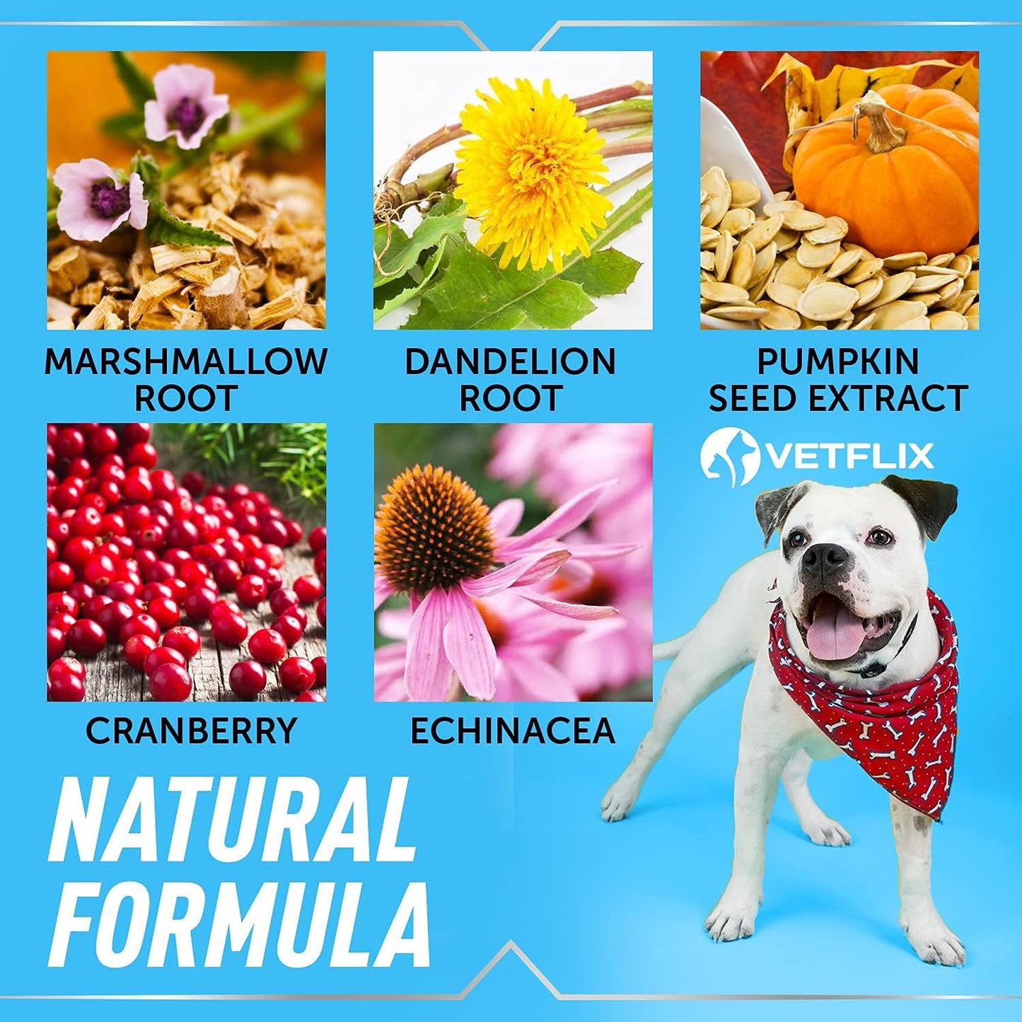 UTI and Kidney Support Liquid for Dogs, Cats, Puppies and Kittens, 60 ml - görsel 6