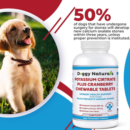 Potassium Citrate Plus Cranberry Supplement for Dogs (100 Tablets) – Urinary Tract Support – Helps Deter Formation of Calcium Oxalate Stones – Deters Bladder & Kidney Stones (Made in the USA)