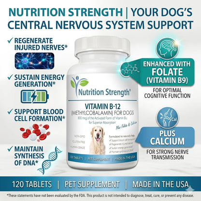Nutrition Strength Vitamin B12 for Dogs Plus Folate & Calcium – 120 Chewable Tablets