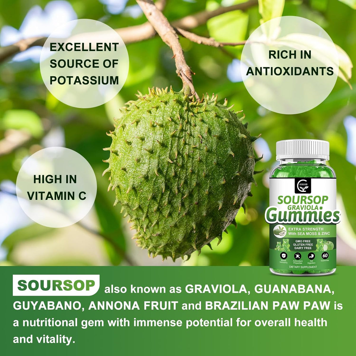 Organic Soursop Graviola Gummies – 2200mg Extra Strength with Sea Moss, Zinc & Vitamin C – 60 Gummies - görsel 5