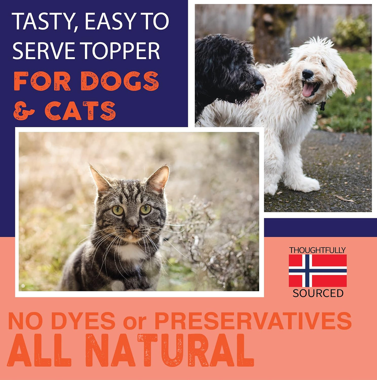 Nature's Diet Norwegian Salmon Oil for Dogs & Cats – Natural Omega-3 Supplement, 946 ml - görsel 6