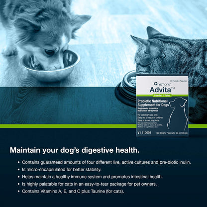 VetOne: Advita Probiotic Powder for Dogs – Daily Nutritional Supplement, 30 Sachets (6-Pack)
