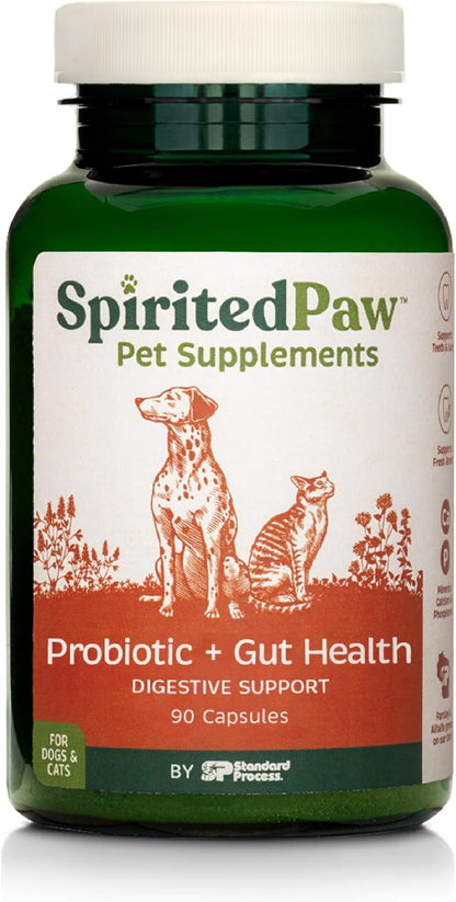 Spirited Paw Probiotic + Gut Health - Digestive & Immune Support for Dogs & Cats - Prebiotic, Probiotic & Postbiotic Pet Care Blend with Organic Buckwheat & Chicory Root Fibre - 90 Capsules