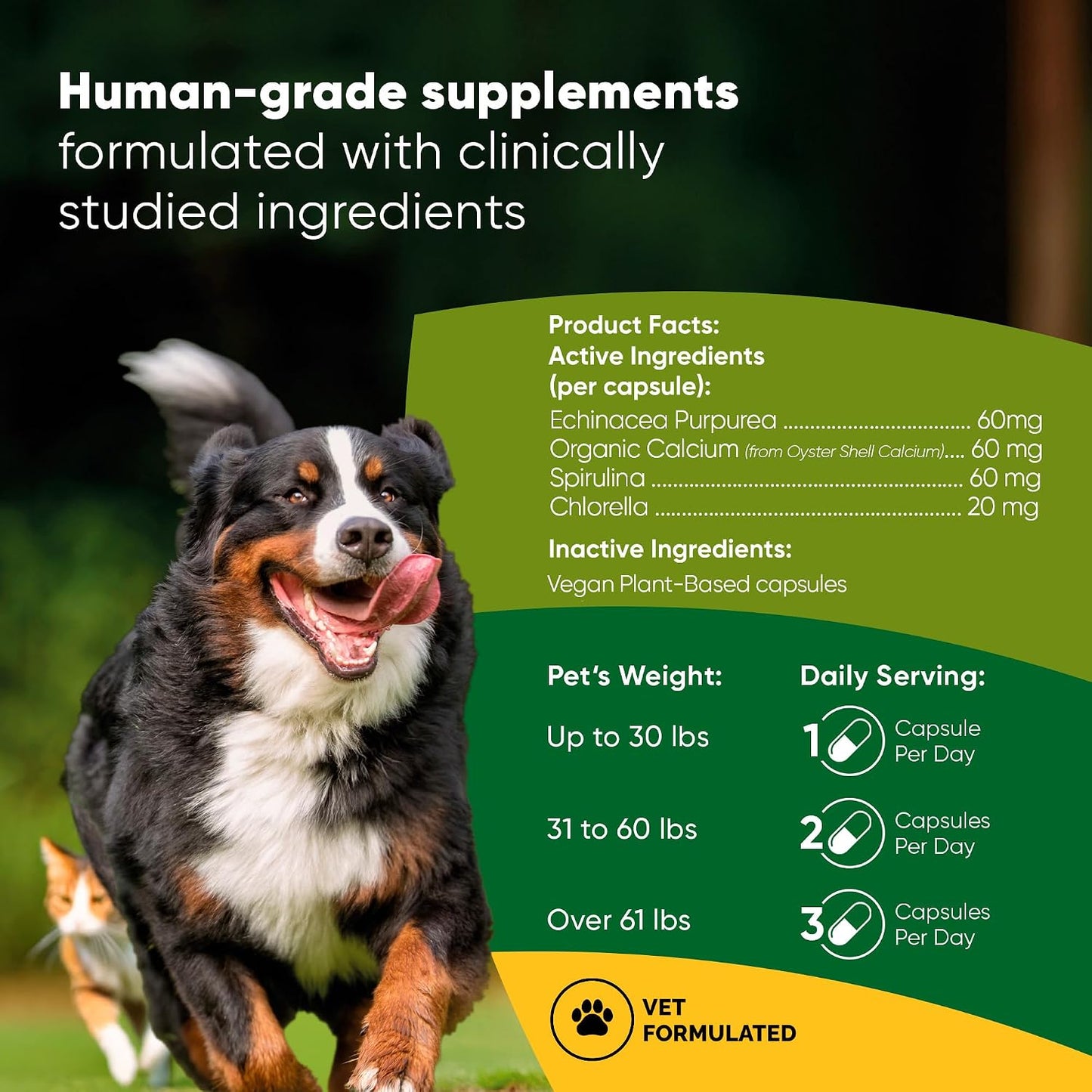 Rooted Owl® Blood Support for Dogs & Cats with Spirulina & Chlorella - görsel 2