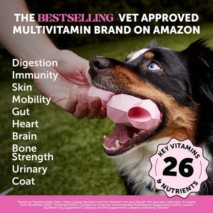 10-in-1 Dog Multivitamin Supplement with Glucosamine and Probiotics - Hip and Joint Support, Digestive Health, Immune Support, Heart and Skin - All-in-One Daily Vitamins and Omega-3s for Dogs (Chicken Flavour, 180 Chews)