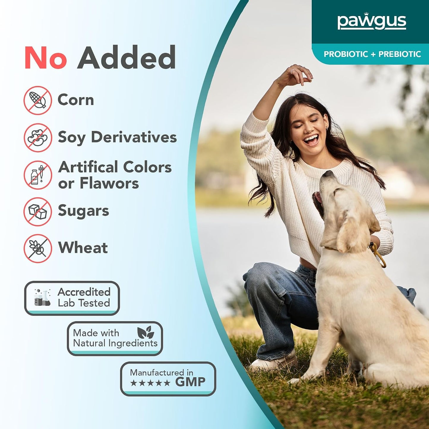 Ultimate Prebiotic and Probiotic Combo for Dogs – 30 Sachets – 7 Billion CFU - görsel 8