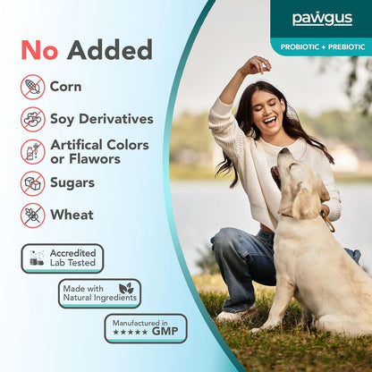 Ultimate Prebiotic and Probiotic Combo for Dogs – 30 Sachets – 7 Billion CFU