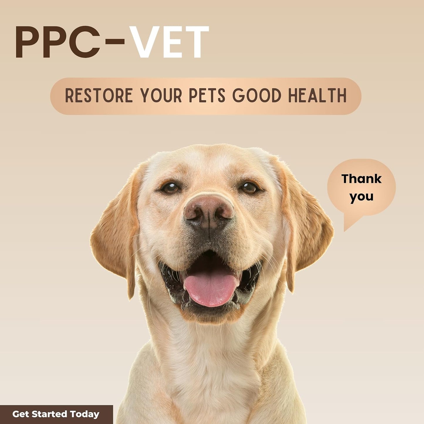 PPC-Vet Polyunsaturated Phosphatidylcholine Liver and Brain Health Supplement for All Sized Cats and Dogs 1000mg PPC / 5mL - Liposomal Liquid 237ml - görsel 8