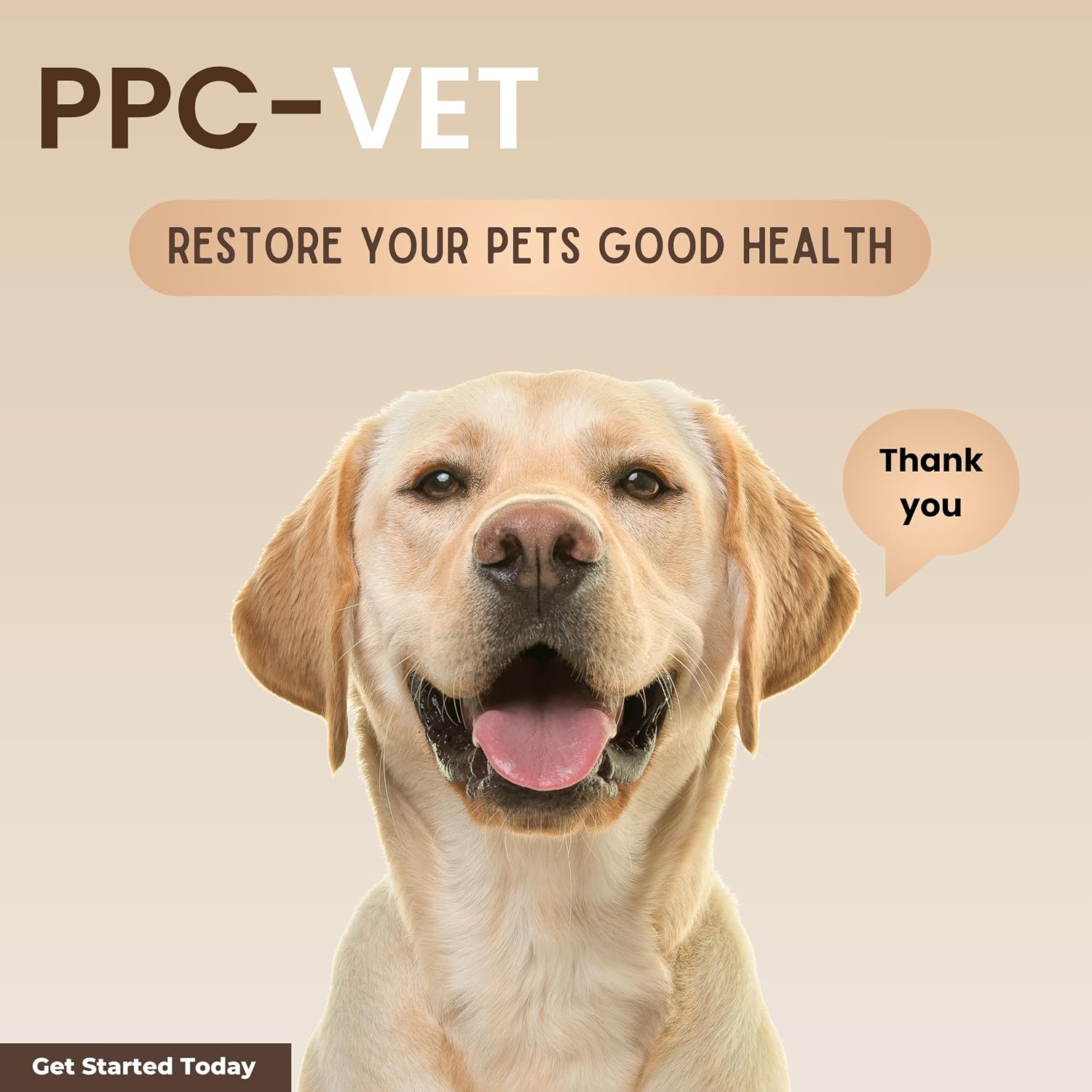 PPC-Vet Polyunsaturated Phosphatidylcholine Liver and Brain Health Supplement for All Sized Cats and Dogs 1000mg PPC / 5mL - Liposomal Liquid 237ml - görsel 8