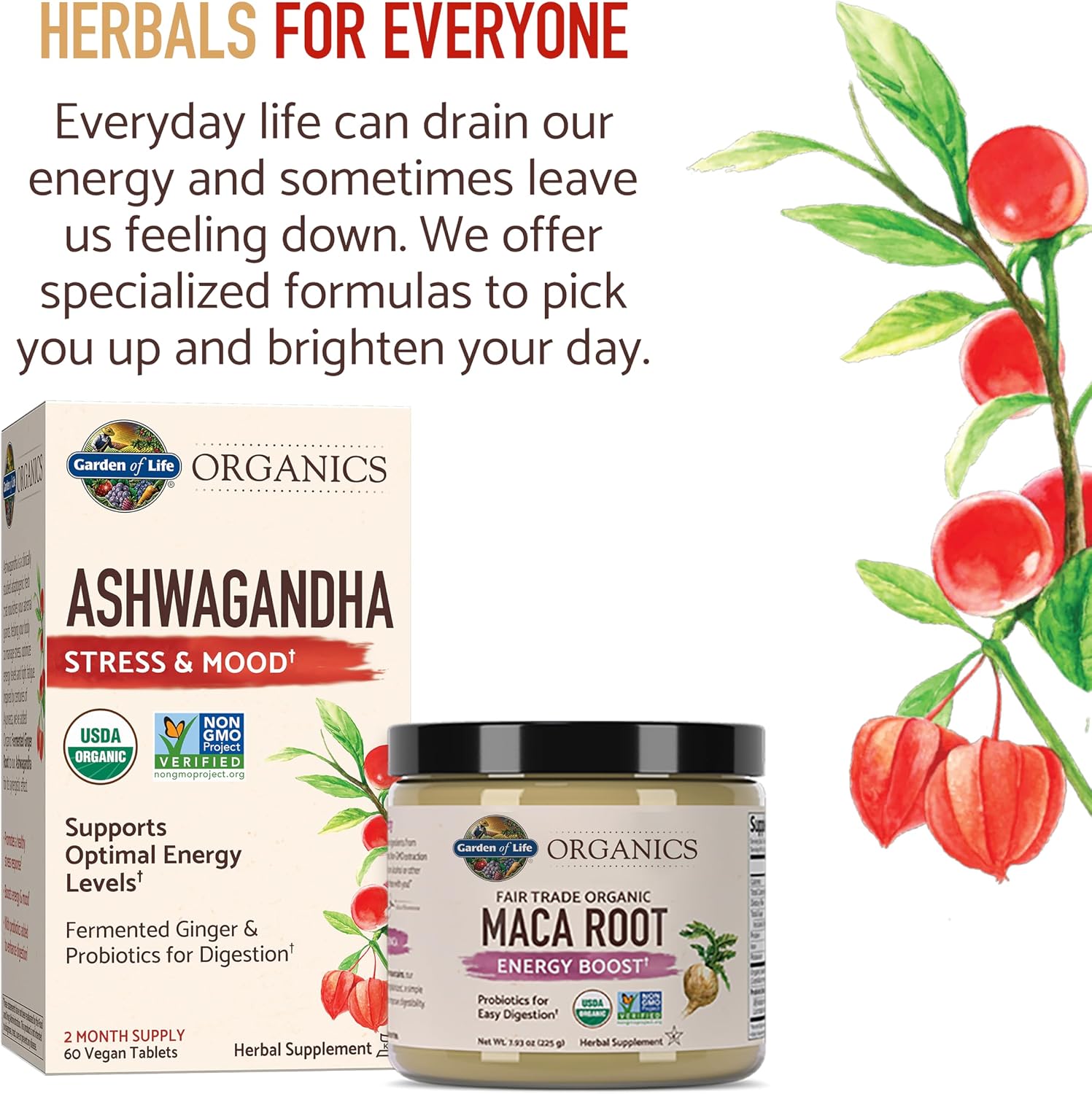 Garden of Life Organics, Fair Trade Organic Maca Root, Energy Support, 225 g - görsel 7