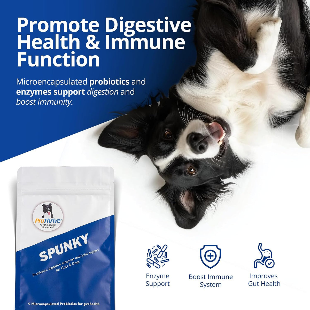 PROTHRIVE Spunky Digestive Supplement - Probiotics, Digestive Enzymes, Joint Support for Cats and Dogs, 227 g - görsel 2