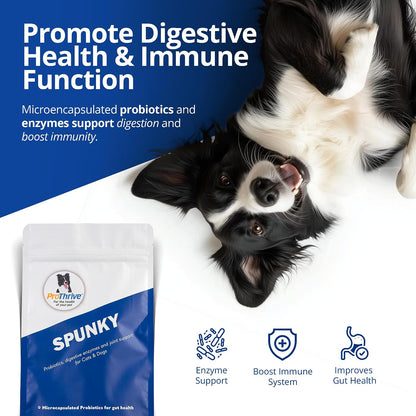 PROTHRIVE Spunky Digestive Supplement - Probiotics, Digestive Enzymes, Joint Support for Cats and Dogs, 227 g