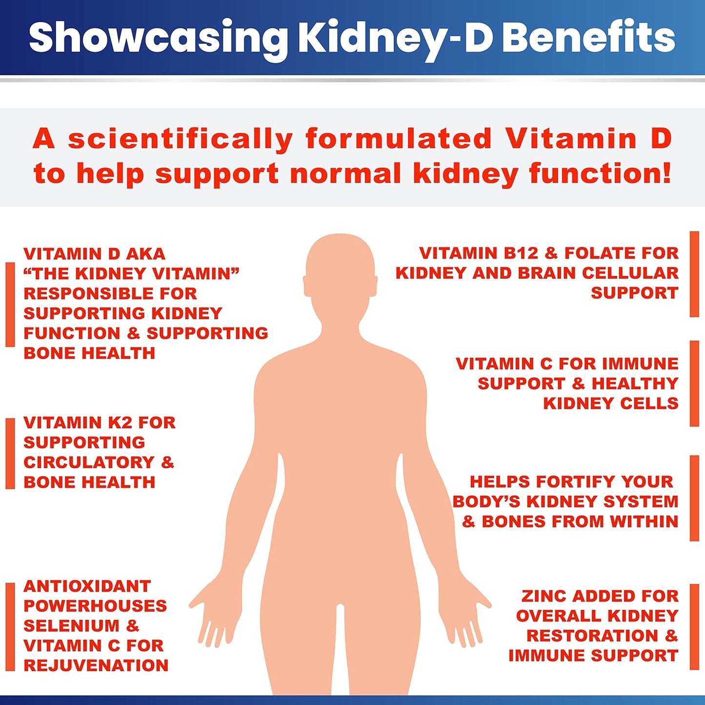 Kidney-D Supplement | Vitamin D3 with 7 Nutrients for Kidney Support - görsel 5