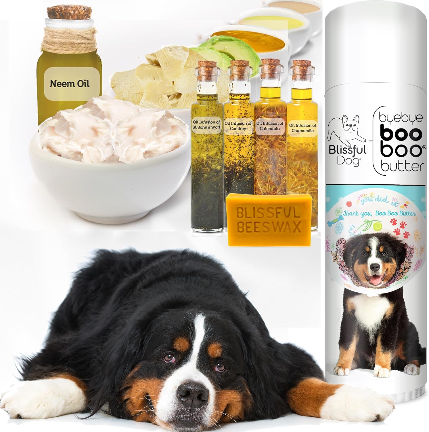 The Blissful Dog 14 g Tube Bernese Mountain Dog Booboo Butter - görsel 2