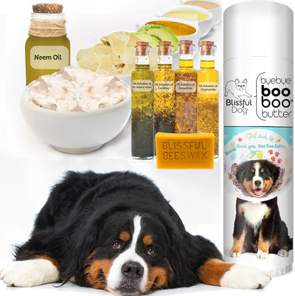 The Blissful Dog 14 g Tube Bernese Mountain Dog Booboo Butter