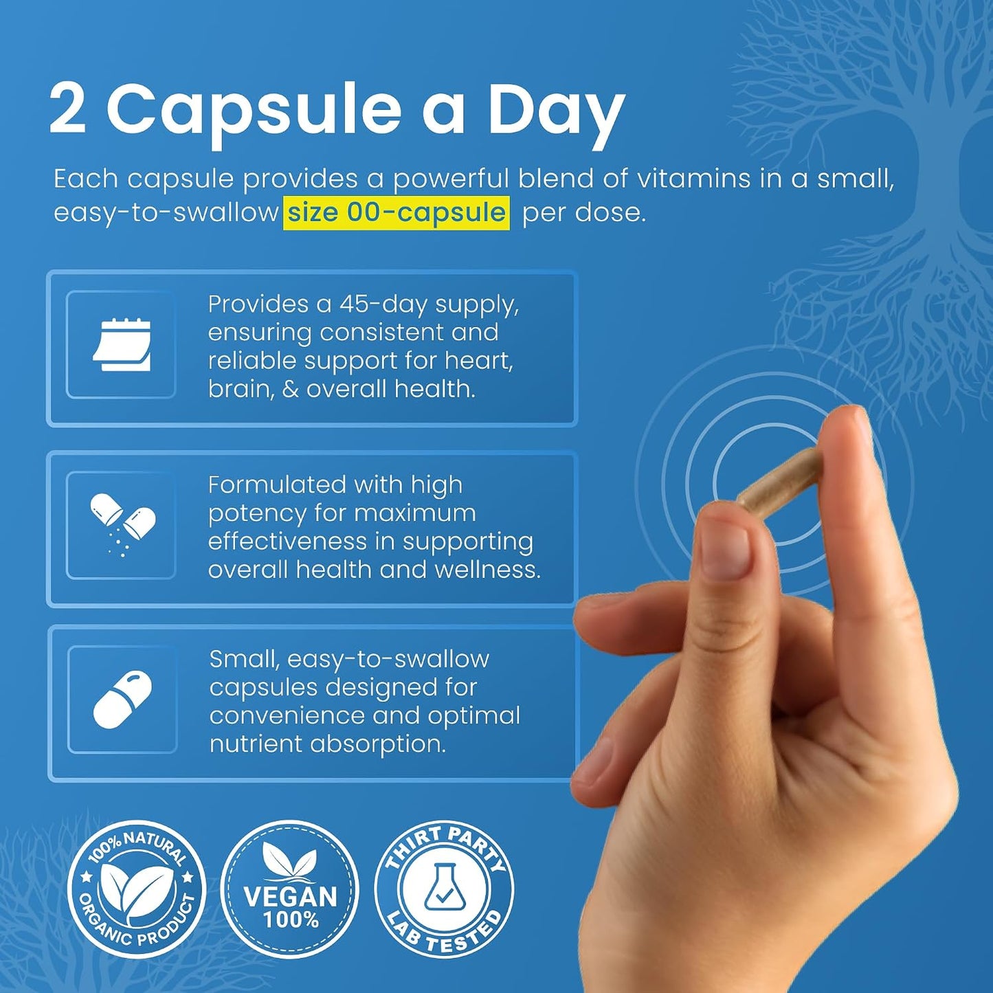 Life Strength Potassium Magnesium Supplement 1000mg – 90 Capsules - görsel 9