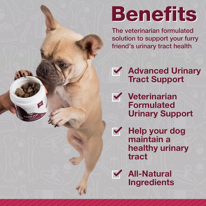 Pawlife Cranberry Supplements for Dogs | Urinary Tract and Bladder Support | D-Mannose and Antioxidants | 120 Veterinarian-Formulated Soft Chews