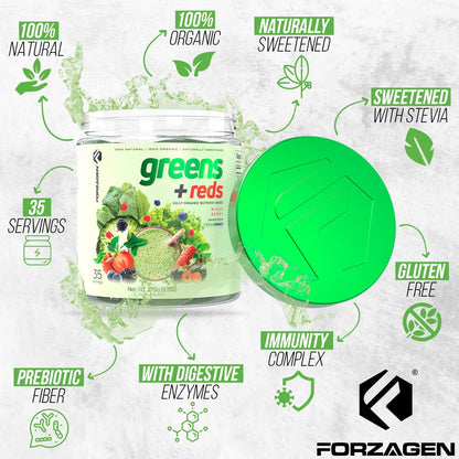 Forzagen Vegan Greens & Reds Superfood Powder - Organic Super Greens Powder, Premium Vegetable Powder Supplement, 35 Servings – Image 6
