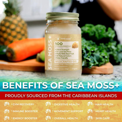 Wellness Labs RX Irish Sea Moss Gel Raw - Wildcrafted Superfood Seamoss Gel - Original Flavour, Vitamin and Mineral-Rich from Pristine Caribbean Waters, Wellness and Digestive Health Support - 10 oz.