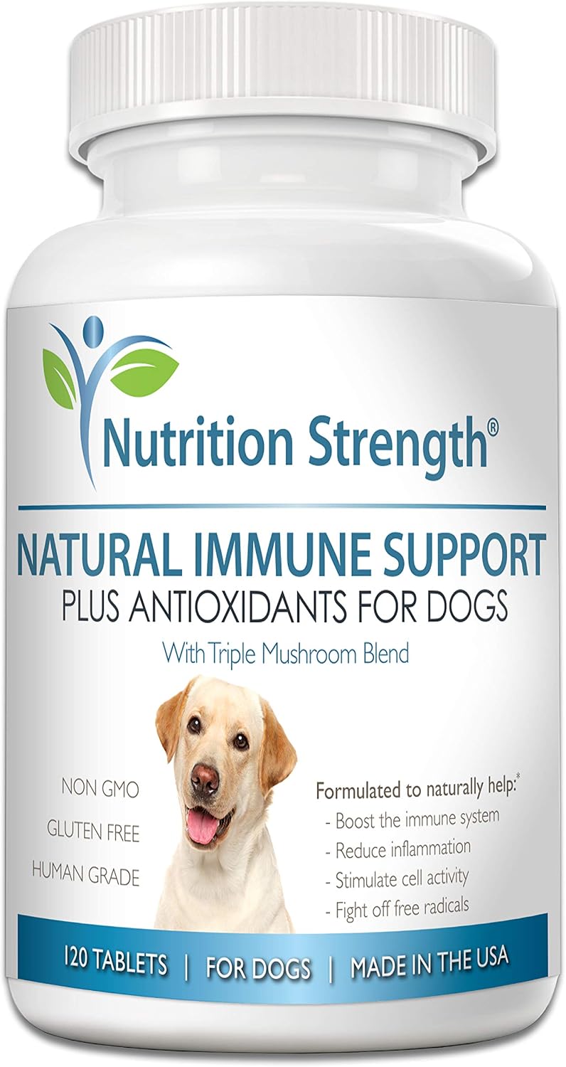 Immune Support for Dogs – Turkey Tail, Reishi, Shiitake & Maitake Mushroom Complex with CoQ10 and Vitamin A – 120 Chewable Tablets - görsel 1