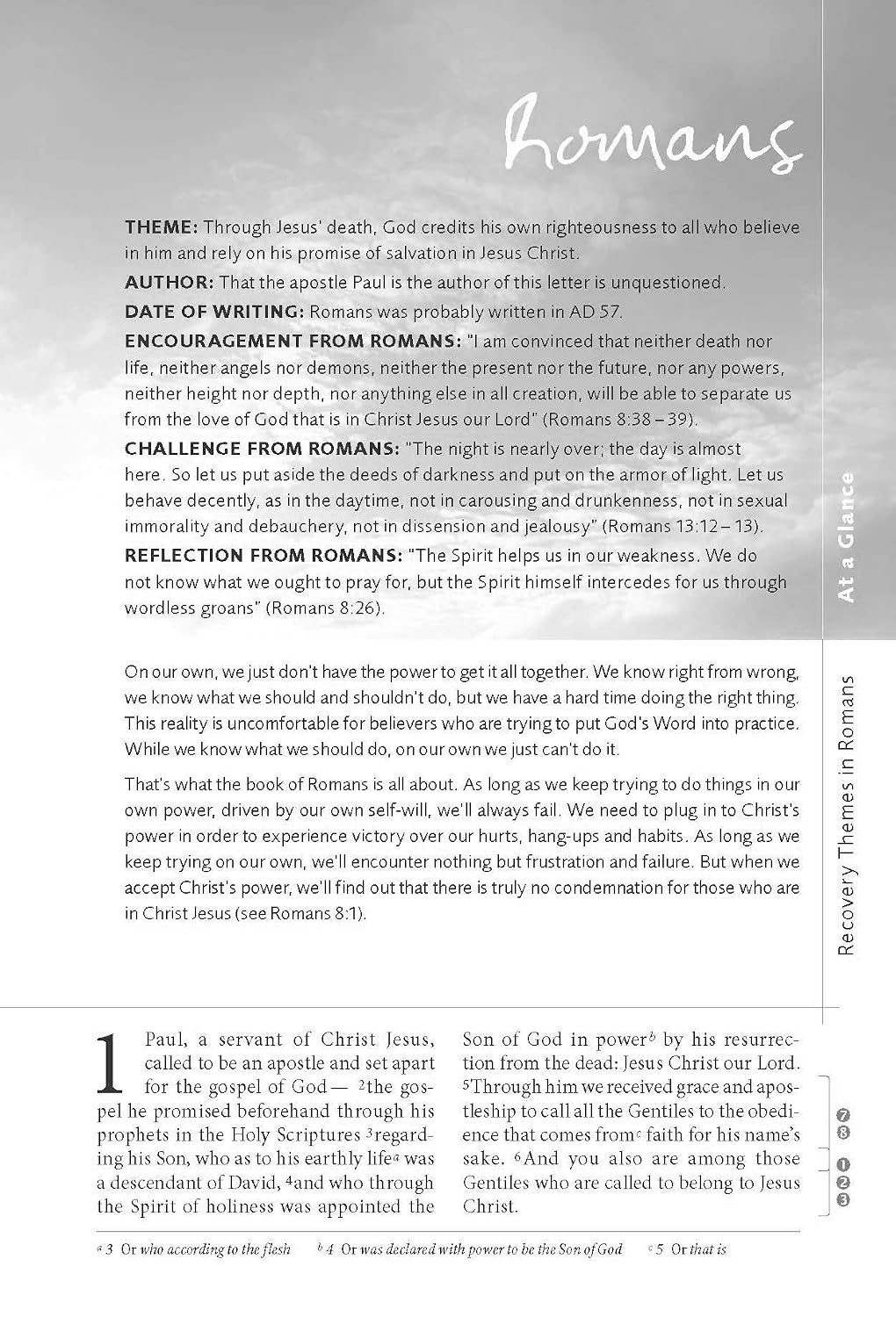 NIV, Celebrate Recovery Study Bible - görsel 7