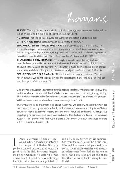 NIV, Celebrate Recovery Study Bible