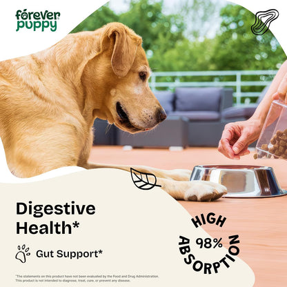 Forever Puppy Chamomile Drops for Dogs - Liquid Chamomile Extract for Gas Relief & Gut Cleanse Support - Digestive Health Liquid Supplement for Dogs of All Breeds & Sizes - 60 ml