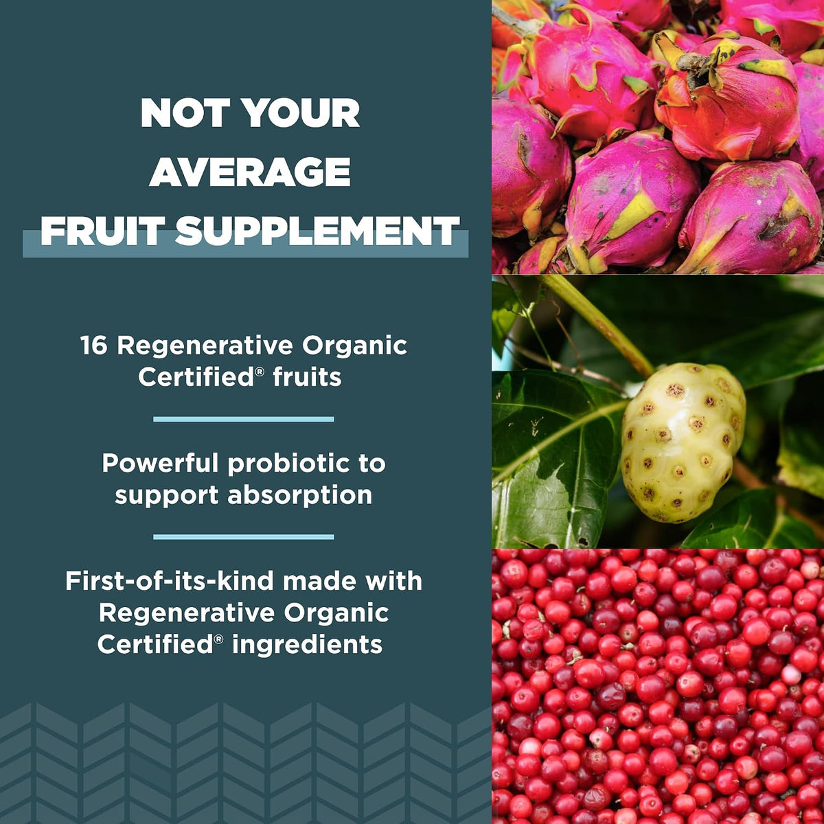 Ancient Nutrition Regenerative Organic Certified SuperFruits Capsules - Gut and Immune Support with Probiotics, 60 Capsules - görsel 3