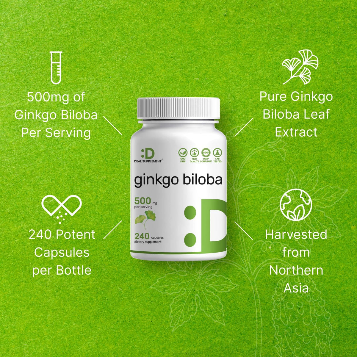 DEAL SUPPLEMENT Ginkgo Biloba 500mg, 240 Capsules - Extra Strength Brain Support Supplement - görsel 6