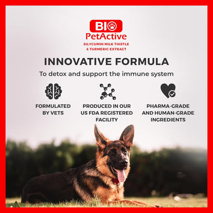 Bio PetActive Silycumin Milk Thistle & Turmeric Supplement for Dogs - Advanced Liver & Kidney Support with 80% Silymarin and Curcumin - Detoxification & Antioxidant Formula - 45 Chewable Tablets