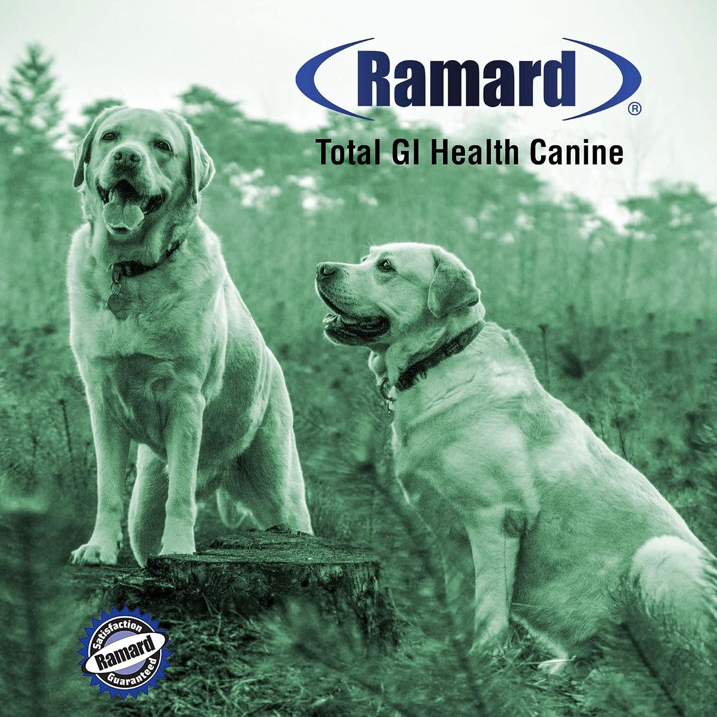 Ramard Total GI Canine Health Soft Chews - Digestive Support for Dogs, 45 Soft Chews - görsel 6