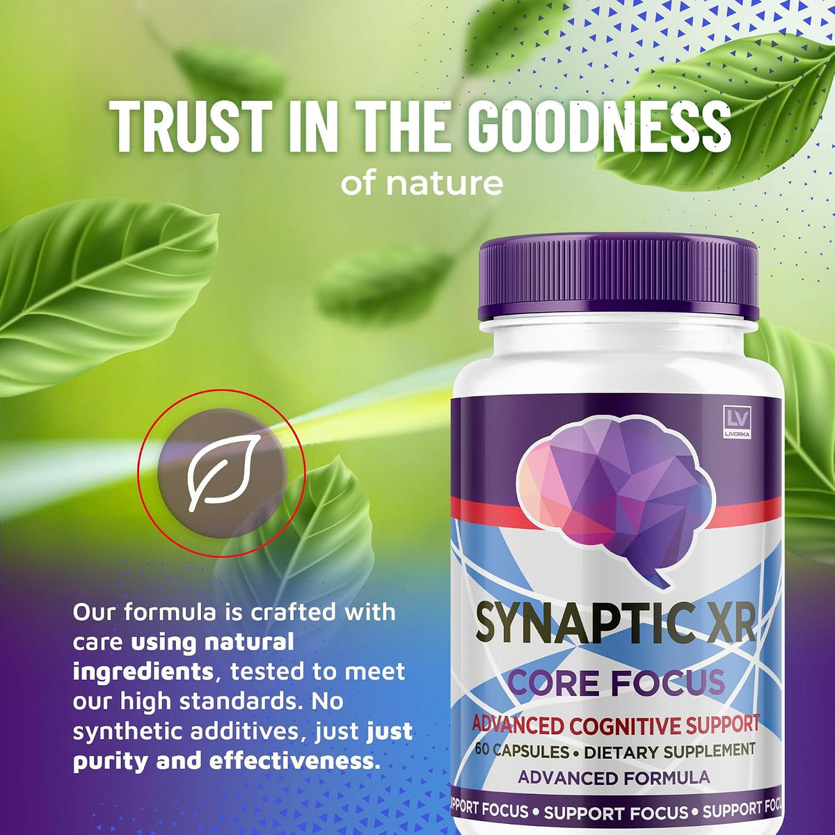 Synaptic XR Capsules (2 Pack) – Brain Focus Supplement by LIVORKA - görsel 3