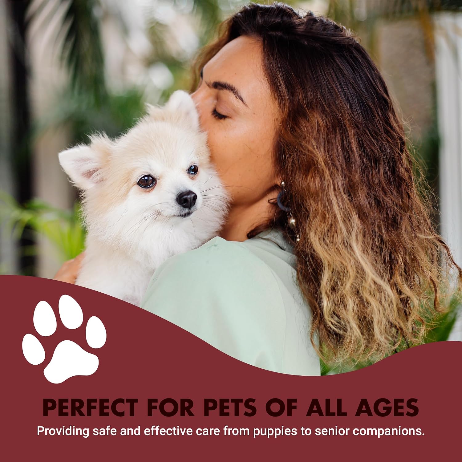 Immune Support for Dogs – Antioxidant & Gut Health – Inulin, Beta-Glucan & Omega-3s – Liquid for Picky Eaters - görsel 7