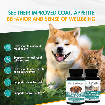 AminAvast Kidney Support Supplement for Dogs - 1000mg 3-Pack (180 Sprinkle Capsules) - Supports Normal Kidney Function