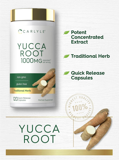Carlyle Yucca Root Extract | 120 Capsules | Herbal Food Supplement | Non-GM and Gluten-free