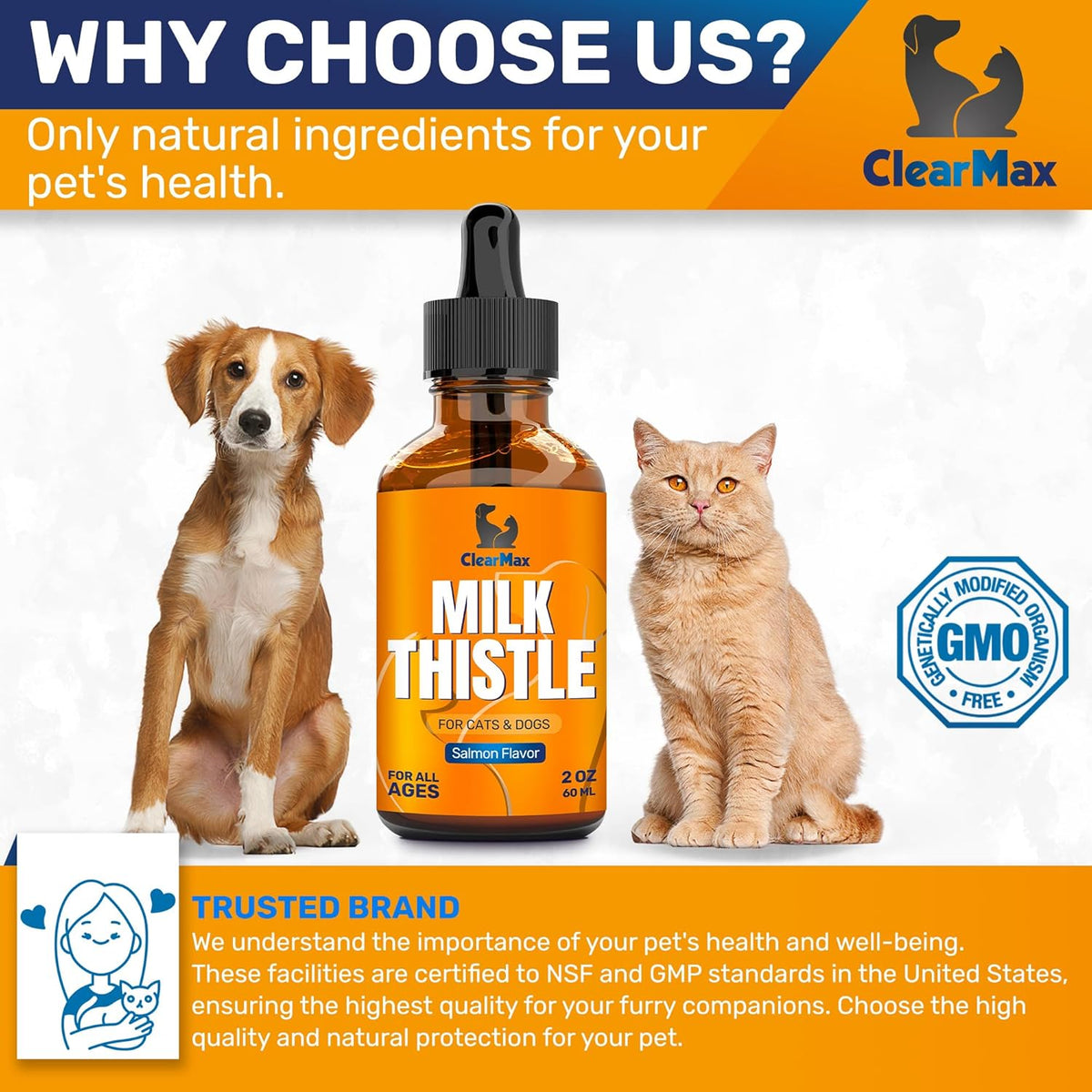 Milk Thistle for Dogs – Liver & Kidney Support for Large & Small Pets – Milk Thistle for Cats to Care for Digestion – Vet-Approved Liquid Formula with Salmon Flavour – GMO Free – 60 ml Bottle - görsel 5