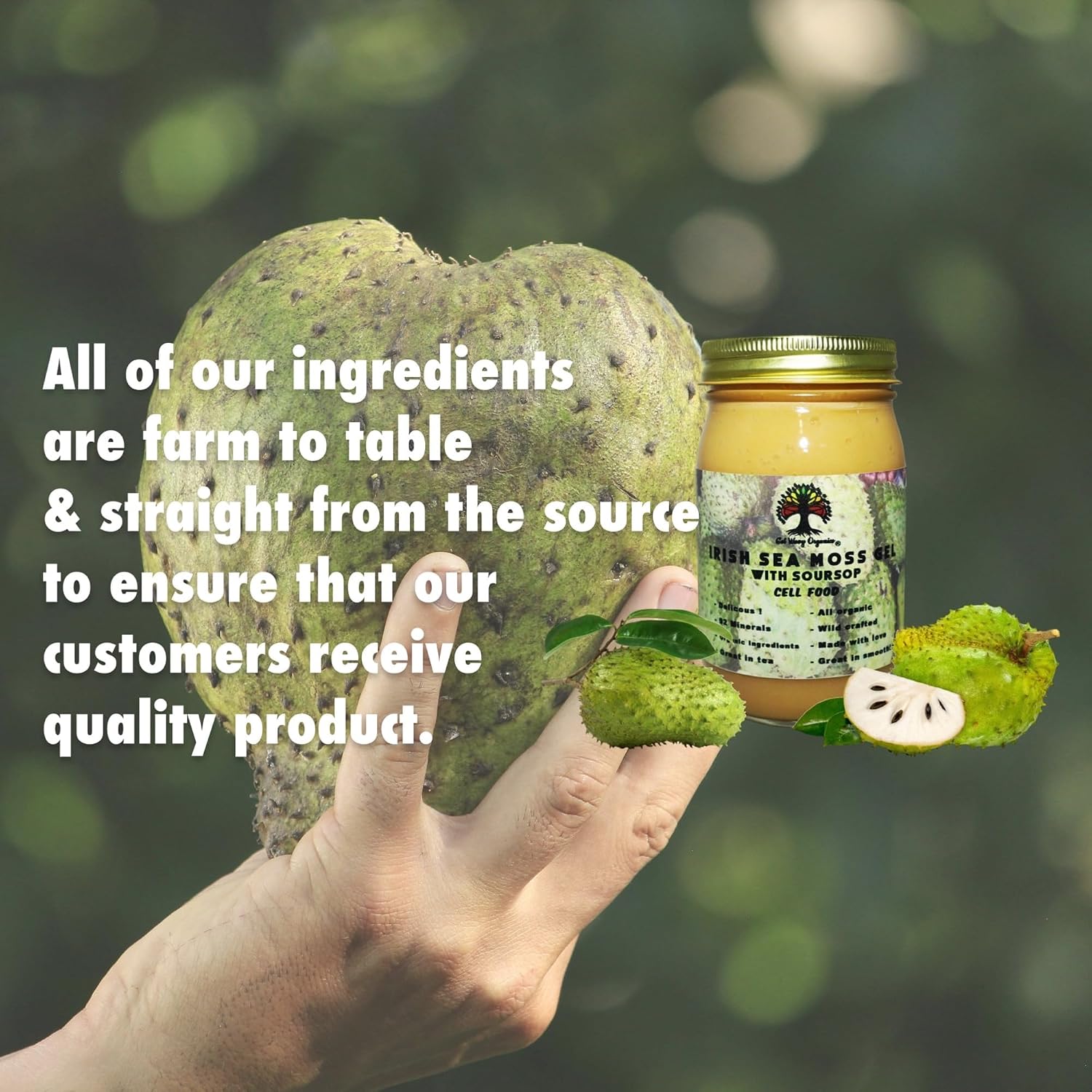 Irish Sea Moss Gel with Soursop – Organic Vegan Superfood Supplement – Pack of 2 - görsel 5